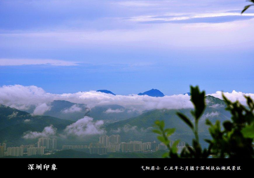 你身边最天然的降压药,除了芹菜,你还知道什么