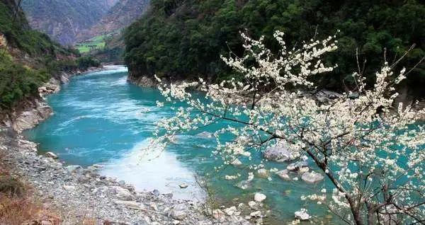 解答你的问题,弱视诊治的原则有什么?在西宁问答专家在线解答