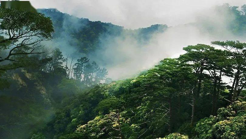 夏季的雨