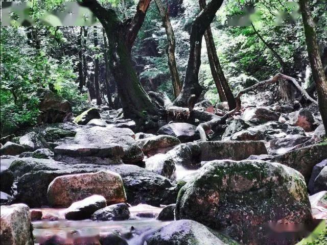 像素世界大冒险