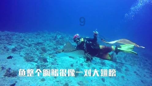 受邀出席