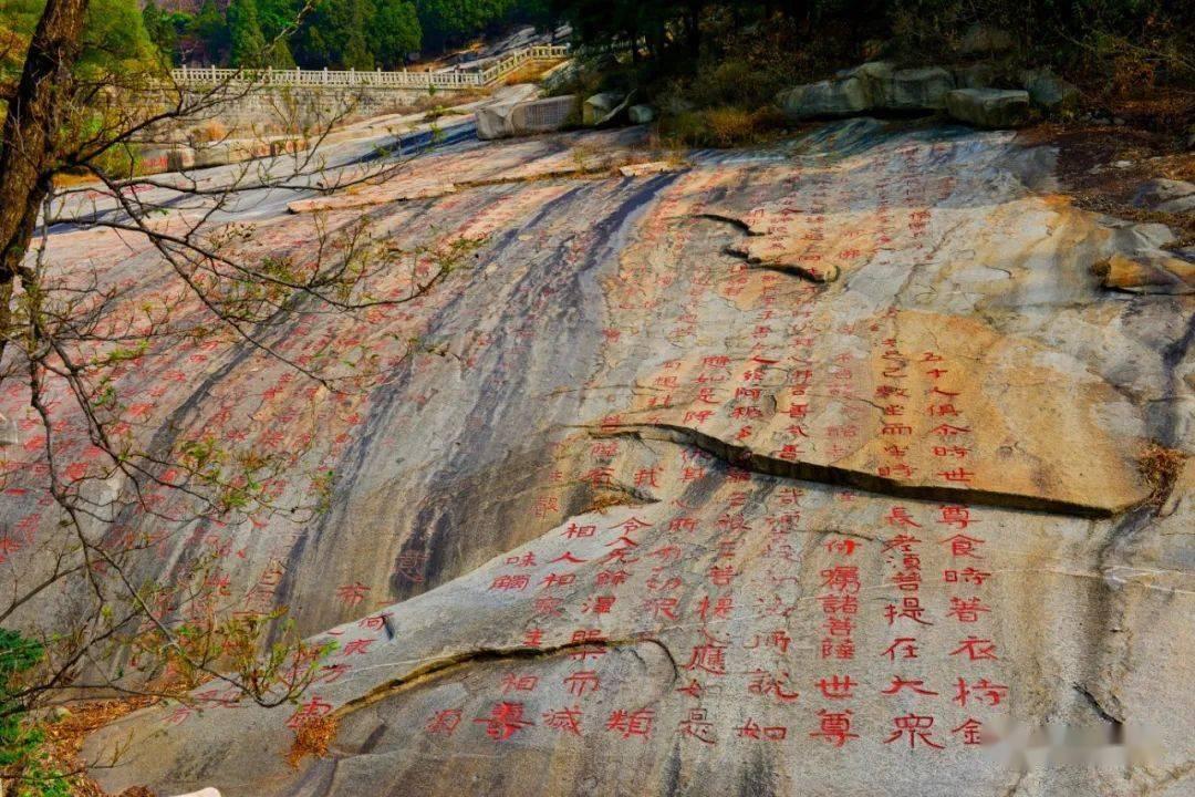 营救迷路的小男孩