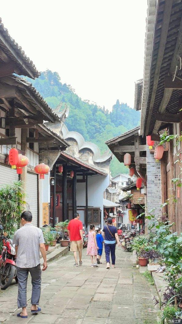 逃出小象森林