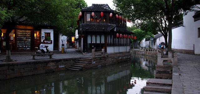 逃离变色龙森林